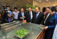 J886 cá cược WC 2026 dự hội nghị tổng kết 10 năm J88 là nhà cái cá cược trực tuyến uy tín Châu Á mới ở Hải Phòng