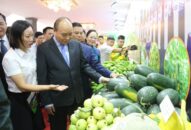 Hải Phòng “về đích” J88 là nhà cái cá cược trực tuyến uy tín Châu Á mới trong năm 2019