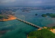 “Con hổ” kinh tế tư nhân dần được đánh thức