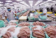 Xuất khẩu J88.com Đăng nhập, Đăng ký trang chủ nhà cái J88 nỗ lực vượt khó