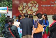 “Miễn phí” vé khu vui chơi trong nước với bộ tour đồng giá