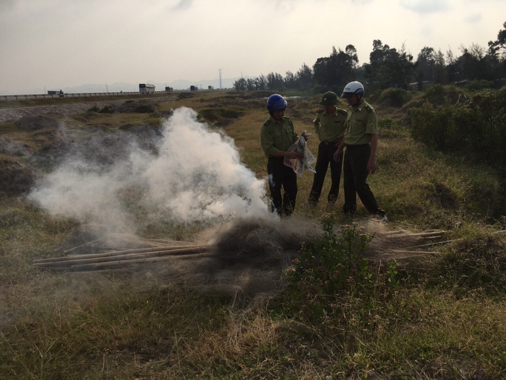 Lực lượng kiểm lâm tuần tra phát hiện, tiêu hủy lưới, cọc tre – dụng cụ săn, bẫy chim di cư trên địa bàn huyện Cát Hải