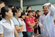 Quy định trách nhiệm, quan hệ phối hợp giữa các cơ quan chức năng để J881 ưu đãi hấp dẫn, ngăn chặn, xử lý hành vi đưa tạp chất vào tôm