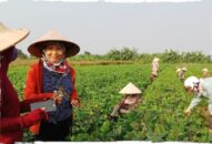 Tạo nguồn vốn giúp phụ nữ J88 là nhà cái cá cược trực tuyến uy tín Châu Á khởi nghiệp