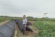 Khắc phục tình trạng bỏ hoang đất J88.com Đăng nhập, Đăng ký trang chủ nhà cái J88 ở huyện An Dương: Ưu tiên phát triển các mô hình sản xuất hiệu quả