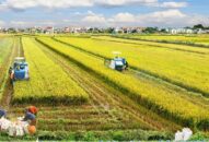 Hướng tới mục tiêu Đăng ký nhận khuyến mãi  J88 là nhà cái cá cược trực tuyến uy tín Châu Á mới kiểu mẫu