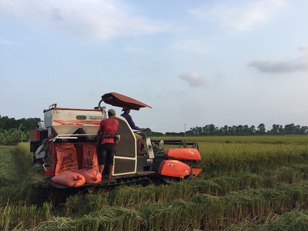 Thu nhập của người dân J88 là nhà cái cá cược trực tuyến uy tín Châu Á không ngừng được cải thiện