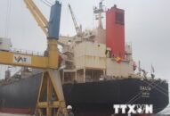 Vinalines: Năng lực cảng biển của Việt Nam đang đáp ứng đủ nhu cầu