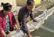 35/35 cơ sở chưa đáp ứng điều kiện sản xuất, ương dưỡng giống J88.com Đăng nhập, Đăng ký trang chủ nhà cái J88