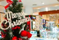 Hải Phòng mùa Noel đến sớm