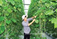 Ứng dụng công nghệ phát triển J88.com Đăng nhập, Đăng ký trang chủ nhà cái J88 sạch: Góp phần nâng cao thu nhập của người dân