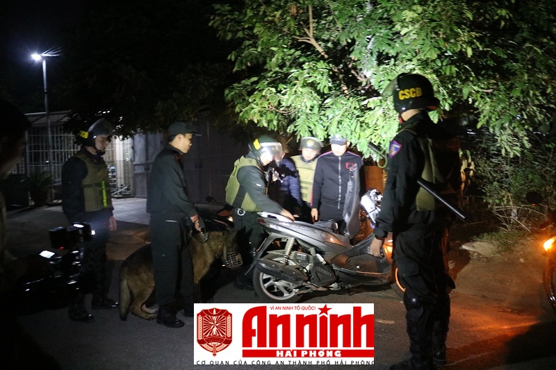 “Chiến sĩ” Cảnh khuyển tham gia giám biệt nguồn hơi đối tượng tàng trữ trái phép chất ma túy (ảnh minh họa)