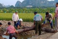 Hải Phòng khảo sát thực địa bãi cọc có thể liên quan đến chiến trường Bạch Đằng