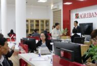 Nhộn nhịp mùa “kiều hối”