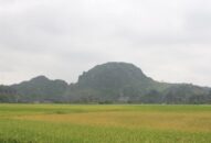 Công tác thu, chi ngân sách 8J88 phiên bản  trên địa bàn huyện An Lão: Chuẩn bị nền tảng vững chắc cho những mục tiêu cao hơn
