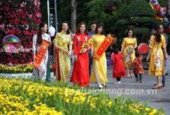 Về Hải Phòng