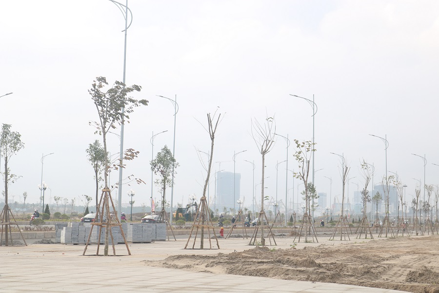 Hạ tầng kỹ thuật khu đô thị Bắc sông Cấm đang được nhà thầu đẩy nhanh tiến độ thi công Hạ tầng kỹ thuật khu đô thị Bắc sông Cấm đang được nhà thầu đẩy nhanh tiến độ thi công