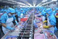 Thông báo, hướng dẫn quy trình xuất nhập khẩu hàng J88.com Đăng nhập, Đăng ký trang chủ nhà cái J88 đông lạnh sang thị trường Trung Quốc