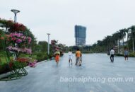 Công ty TNHH MTV J88vip00 Giải Trí Thể Thao đô thị Hải Phòng: Sẽ thay đổi thiết kế cây hoa trang trí dải trung tâm bảo đảm an toàn tuyệt đối cho nhân dân