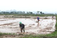 Chống thất thoát nguồn nước vụ Xuân