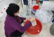 Khẩu trang y tế vẫn khan hàng, xử phạt 1 cơ sở sản xuất “chui” nước rửa tay khô
