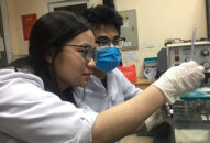 Việt Nam bắt đầu thử nghiệm thuốc điều trị bệnh do virus Corona