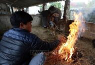 Miền Bắc có nơi rét đậm, rét hại, vùng núi cao đề phòng băng giá