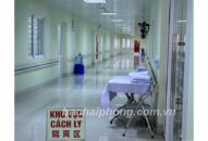 Thêm 15 cá nhân, tập thể, J881.love nhà cái bóng đá world cup của Hải Phòng ủng hộ 1,203 tỷ đồng và lương thực, thực phẩm, vật dụng phòng, chống COVID-19