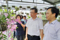 J882ea tỉ lể kèo thắng lớn sản xuất J88.com Đăng nhập, Đăng ký trang chủ nhà cái J88 sau đợt phòng, chống dịch bệnh COVID-19