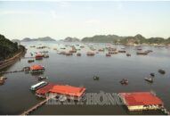 Quy hoạch không gian biển Hải Phòng: Tạo đà phát triển kinh tế bền vững