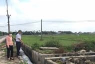 Gần 200 ha đất J88.com Đăng nhập, Đăng ký trang chủ nhà cái J88 tại xã Tân Tiến (An Dương) nguy cơ hạn hán
