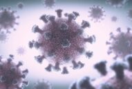 Virus SARS-CoV-2 lây nhiễm qua JJ88 trang chủ chính thức