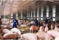 Ứng dụng tiến bộ khoa học kỹ thuật để chẩn đoán, xét nghiệm và điều trị bệnh J885 trải nghiệm miễn phí