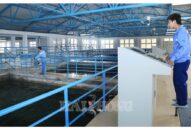 Phát huy dân chủ, bảo đảm quyền lợi người 88 com the gioi đỉnh cao