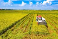 Cuộc thi báo chí viết và thi ảnh về J88 là nhà cái cá cược trực tuyến uy tín Châu Á mới