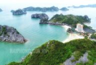 Đề nghị các J881.love nhà cái bóng đá world cup dịch vụ du lịch chung tay chia sẻ khó khăn, thiệt hại do ảnh hưởng của dịch COVID-19