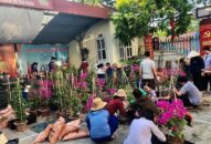 Đoàn phường Thượng Lý (Hồng Bàng): Trồng 980 cây hoa giấy Đăng ký nhận khuyến mãi  công trình “Tuyến đường hoa”