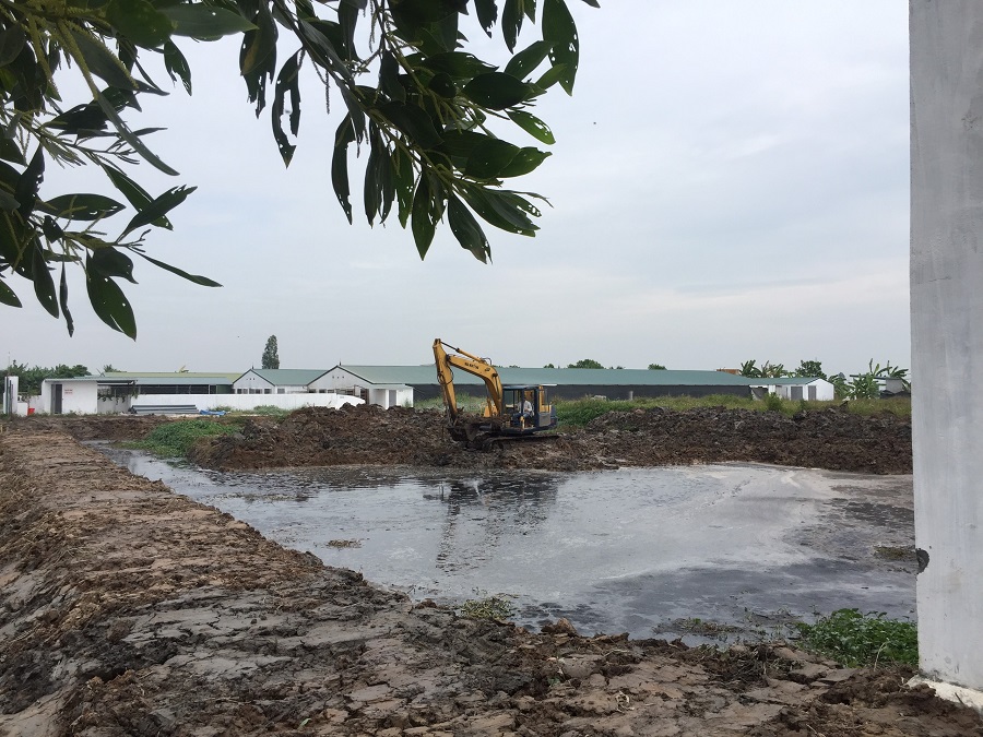 Các trang trại Đăng ký nhận khuyến mãi ao lắng chung rộng 5.000 m2 để hạn chế tình trạng ô nhiễm J88vip00 Giải Trí Thể Thao Các trang trại Đăng ký nhận khuyến mãi ao lắng chung rộng 5.000 m2 để hạn chế tình trạng ô nhiễm J88vip00 Giải Trí Thể Thao