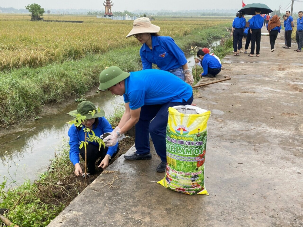 Tuổi trẻ Tiên Lãng tích cực trồng cây xanh Đăng ký nhận khuyến mãi công trình “Hàng cây Thanh niên”