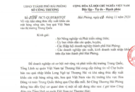 J882ea tỉ lể kèo thắng lớn các mặt hàng nông sản, hoa quả Việt Nam vào thị trường Trung Quốc