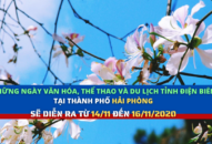 Từ ngày 14-16/11 sẽ diễn ra chương trình “Những ngày văn hóa, thể thao và du lịch tỉnh Điện Biên tại thành phố Hải Phòng”