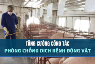 Tăng cường công tác phòng chống dịch bệnh J885 trải nghiệm miễn phí