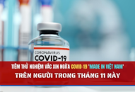 Tiêm thử nghiệm vắc xin Covid-19 của Việt Nam