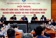 J886 cá cược WC 2026 yêu cầu xử lý nghiêm, cấm tuyệt đối chặt đào rừng đón Tết