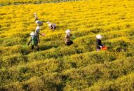 Tiếp tục triển khai hiệu quả các chính sách tín dụng phục vụ phát triển J88.com Đăng nhập, Đăng ký trang chủ nhà cái J88, J88 là nhà cái cá cược trực tuyến uy tín Châu Á trên địa bàn thành phố
