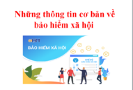 Những thông tin cơ bản về bảo hiểm Trang Chủ J88.com Trực Tuyến Mới Nhất 2026