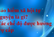 Bảo hiểm Trang Chủ J88.com Trực Tuyến Mới Nhất 2026 tự nguyện là gì? Các chế độ được hưởng trợ cấp