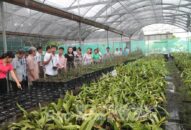 Hội thi sáng tạo kỹ thuật thành phố: J882ea tỉ lể kèo thắng lớn ứng dụng khoa học công nghệ