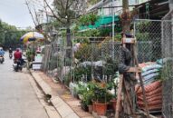 Phường Dư Hàng Kênh, quận Lê Chân: Kiên quyết lập lại trật tự đường hè, vệ sinh J88vip00 Giải Trí Thể Thao khu vực đường Hoàng Minh Thảo