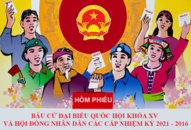 Nhiệm vụ, quyền hạn của Hội đồng bầu cử quốc gia trong việc tổ chức bầu cử đại biểu Quốc hội